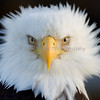 Photo taken by: K&W Images (HEP)